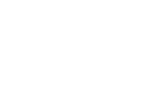 Berta לוגו